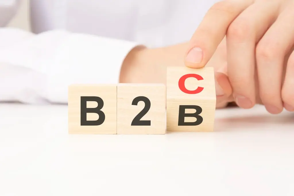 what is b2b and b2c